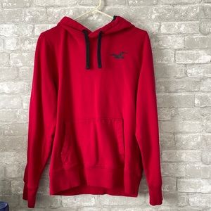 L / hollister/ hoodie